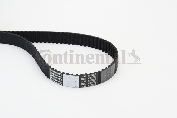 BELTPIC_CT1117