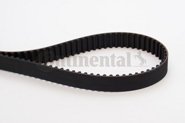 BELTPIC_CT1119
