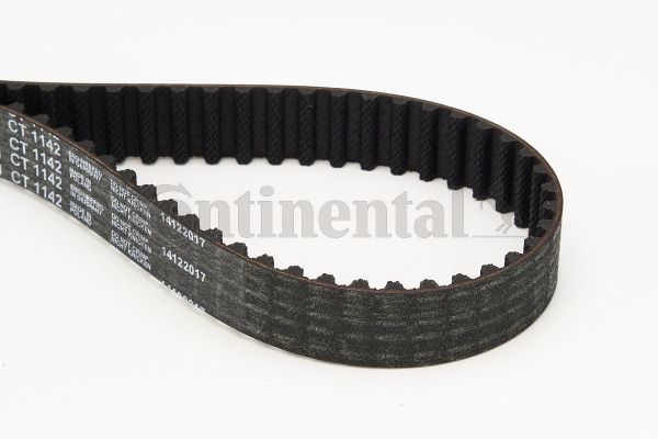 BELTPIC_CT1142
