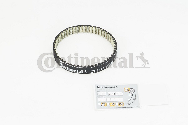 BELTPIC_CT1143