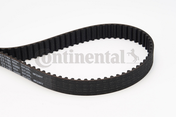 BELTPIC_CT1163