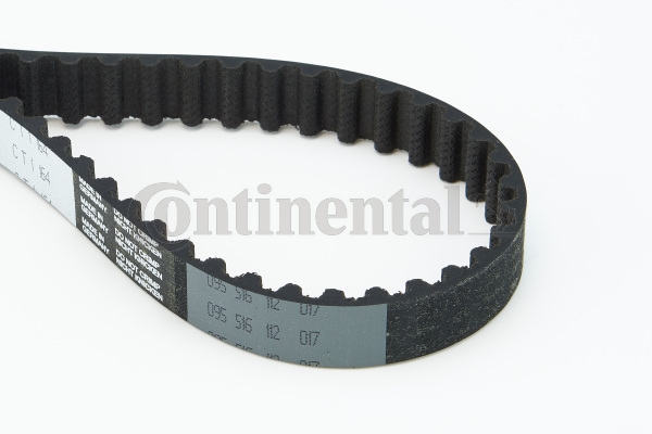 BELTPIC_CT1164