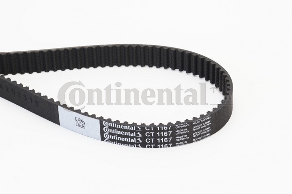 BELTPIC_CT1167