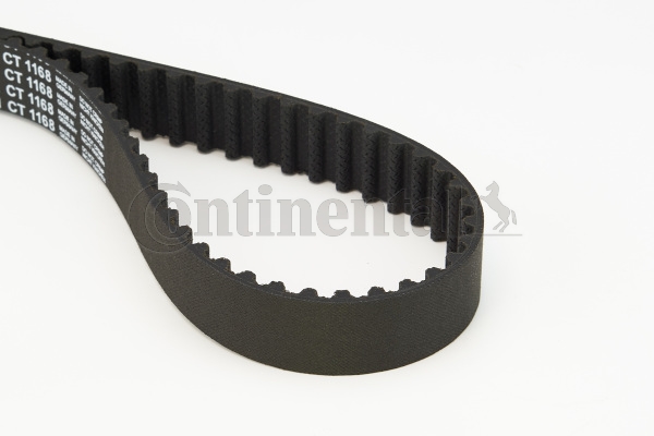 BELTPIC_CT1168
