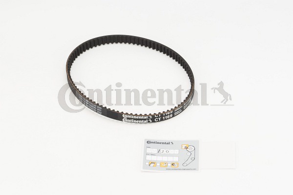 BELTPIC_CT1169