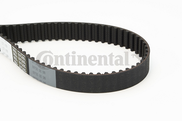 BELTPIC_CT1179