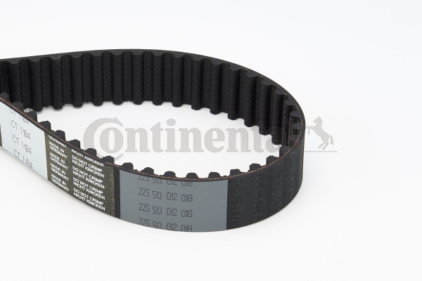 BELTPIC_CT1184