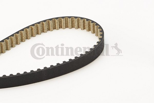 BELTPIC_CT1189