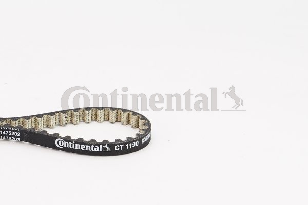 BELTPIC_CT1190