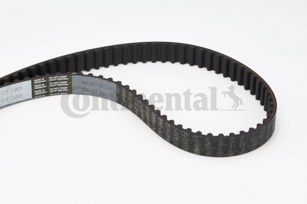 BELTPIC_CT1203