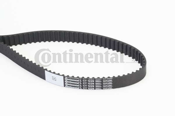 BELTPIC_CT1229