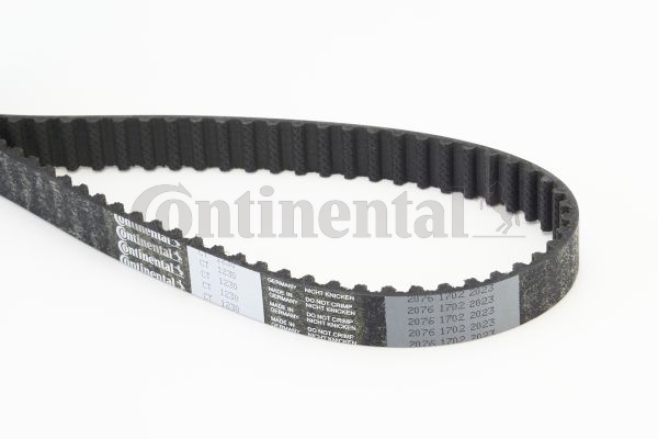 BELTPIC_CT1230