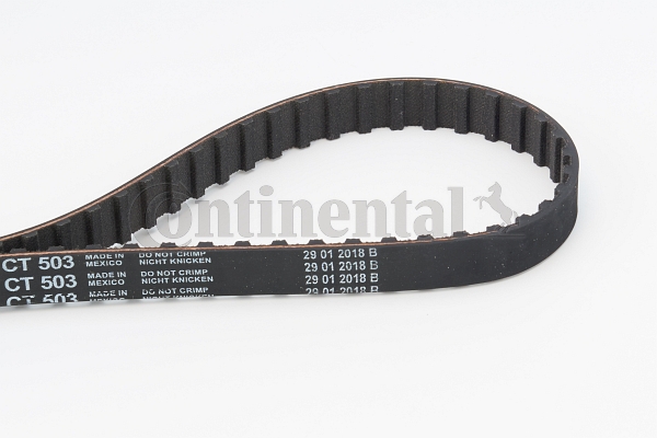 BELTPIC_CT503