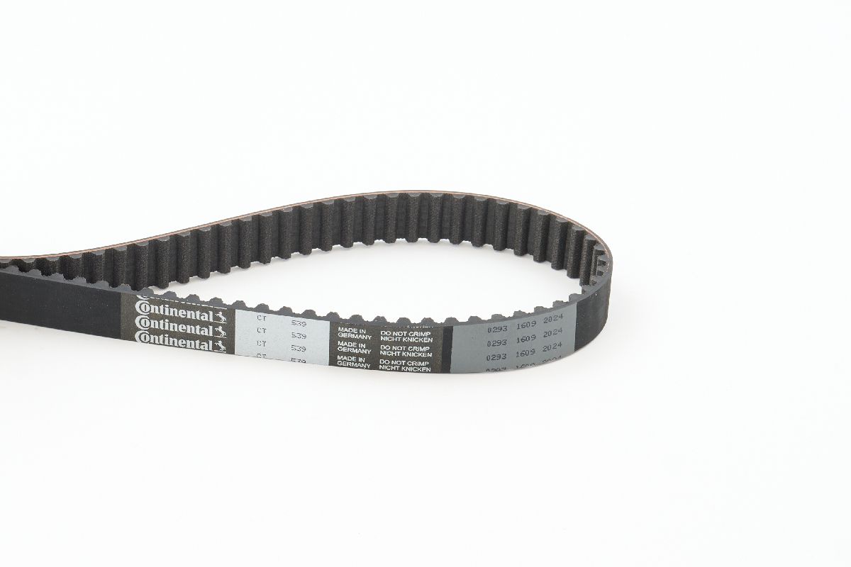 BELTPIC_CT539