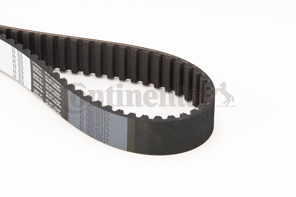 BELTPIC_CT619