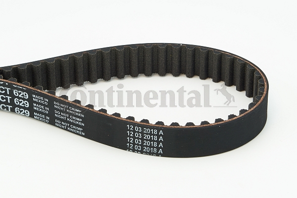 BELTPIC_CT629