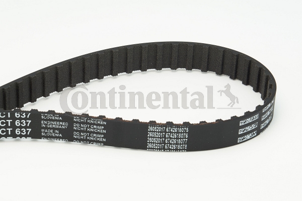 BELTPIC_CT637