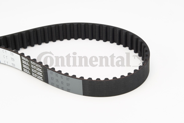 BELTPIC_CT759