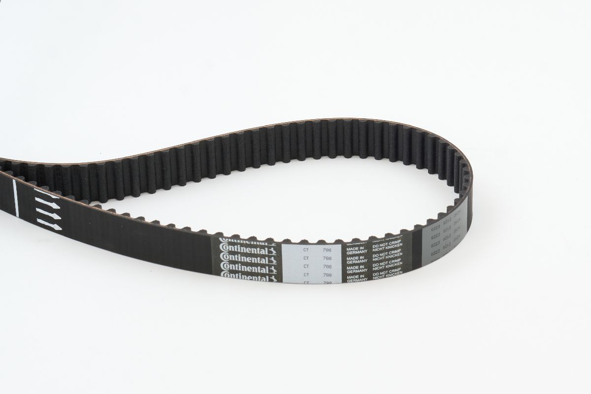 BELTPIC_CT788