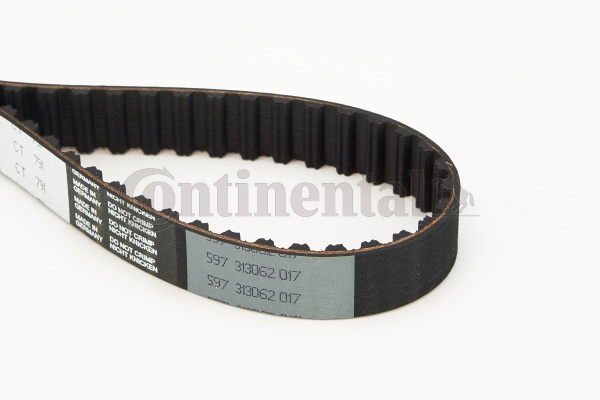 BELTPIC_CT791