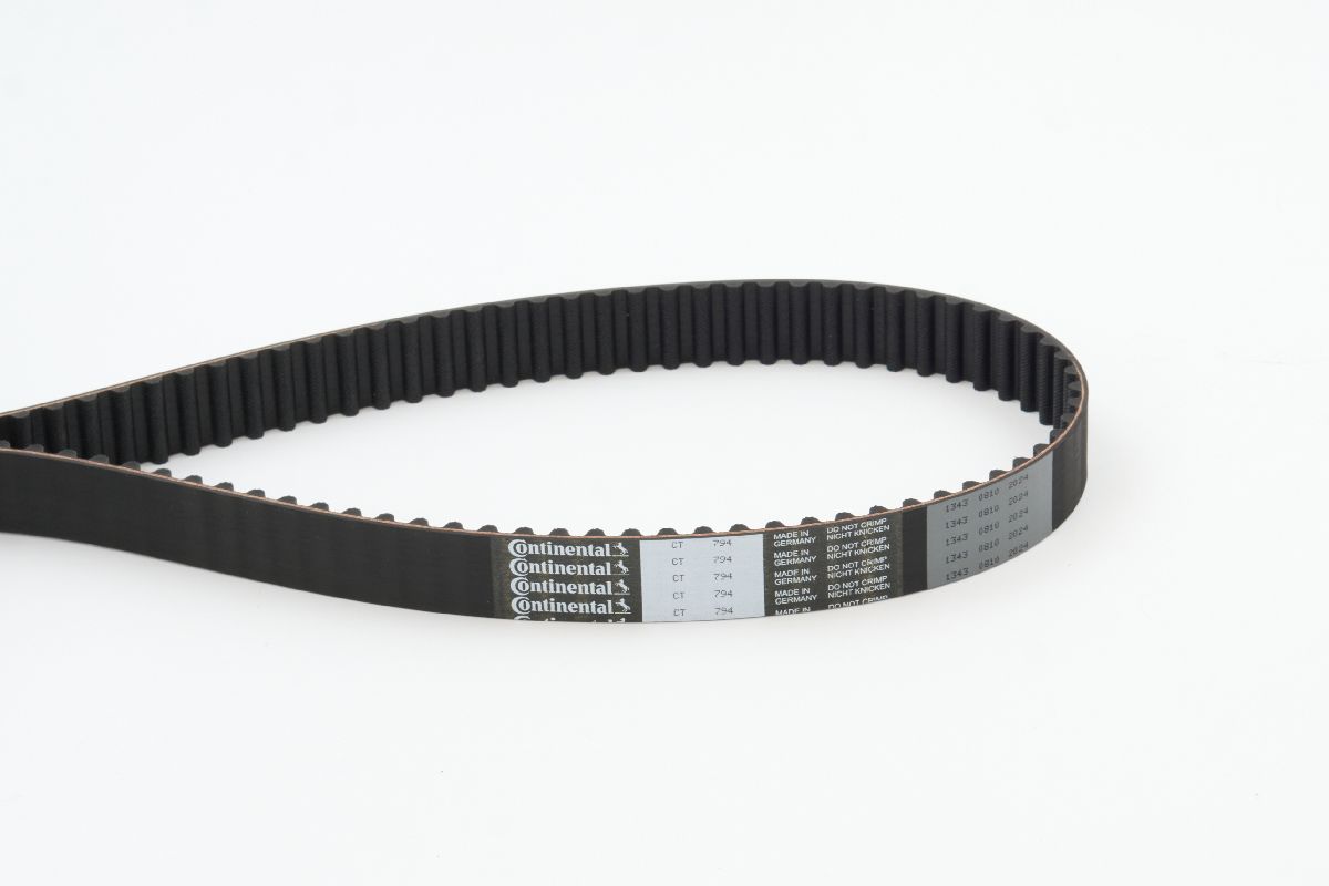 BELTPIC_CT794