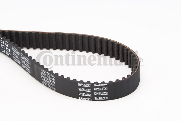 BELTPIC_CT827
