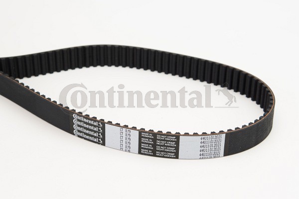BELTPIC_CT879