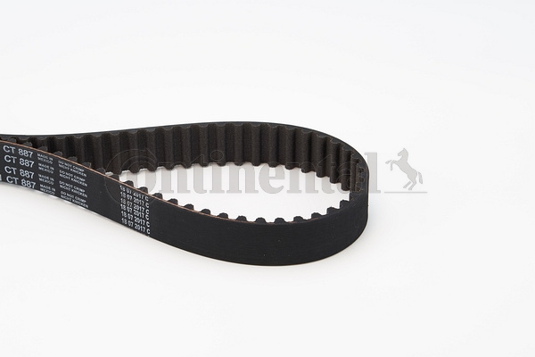 BELTPIC_CT887