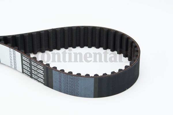 BELTPIC_CT891