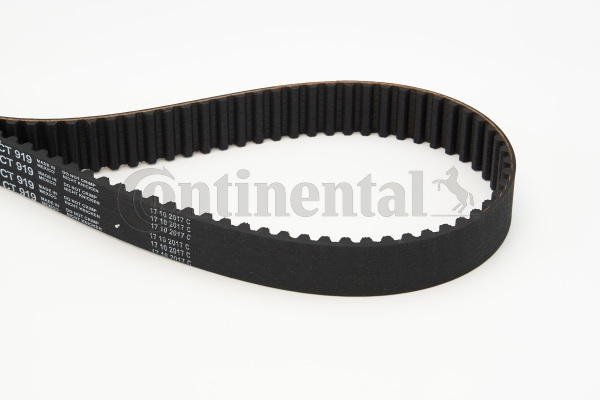 BELTPIC_CT919