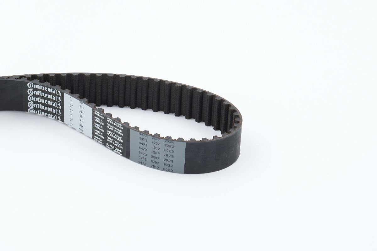 BELTPIC_CT954