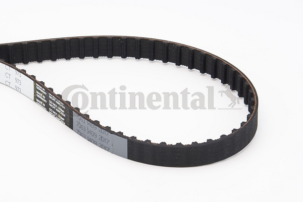 BELTPIC_CT973