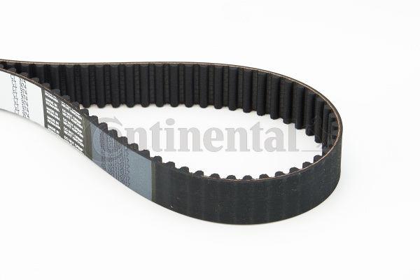 BELTPIC_CT974