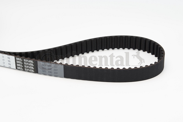 BELTPIC_CT978