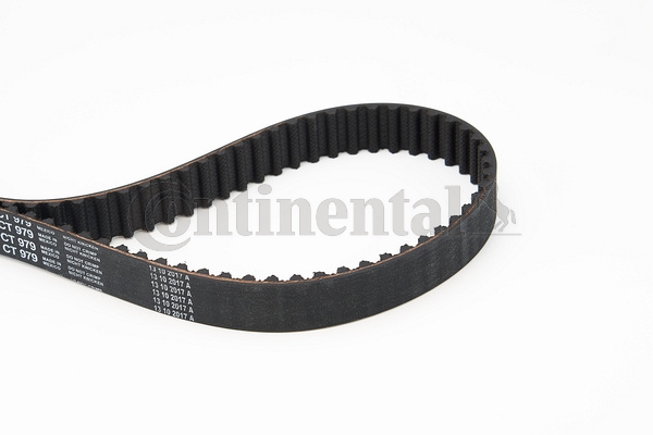 BELTPIC_CT979