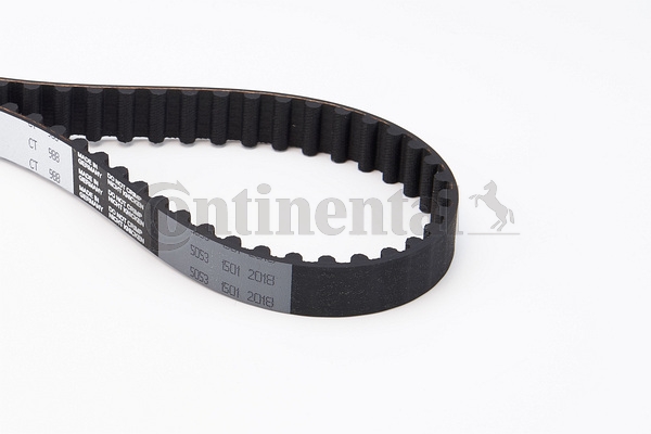 BELTPIC_CT988