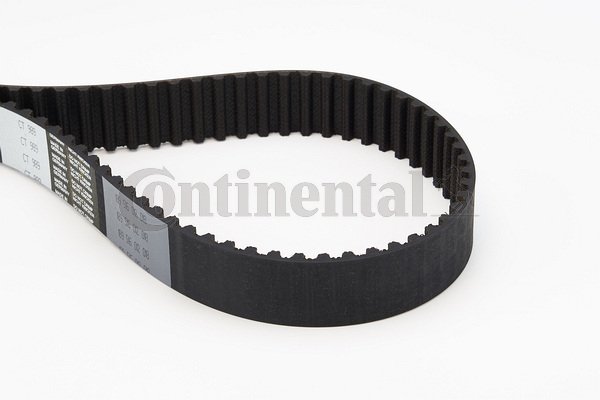 BELTPIC_CT989