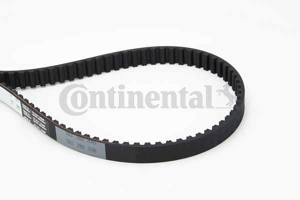 BELTPIC_CT999
