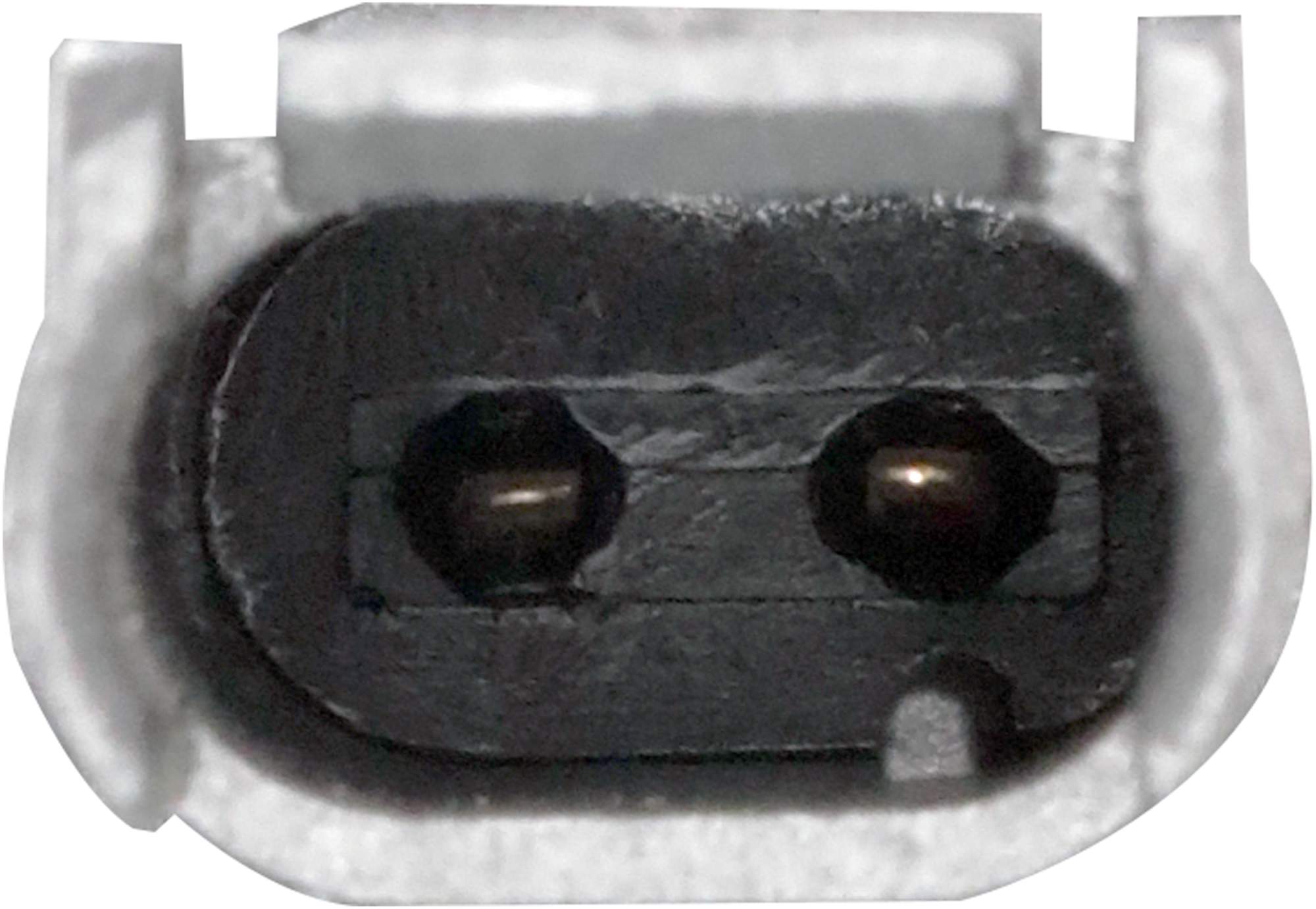 EMH137-2_CON_A