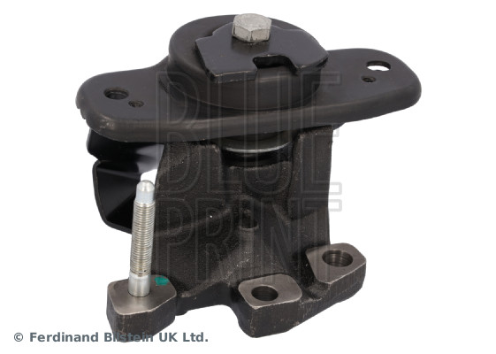 ADBP800557_1