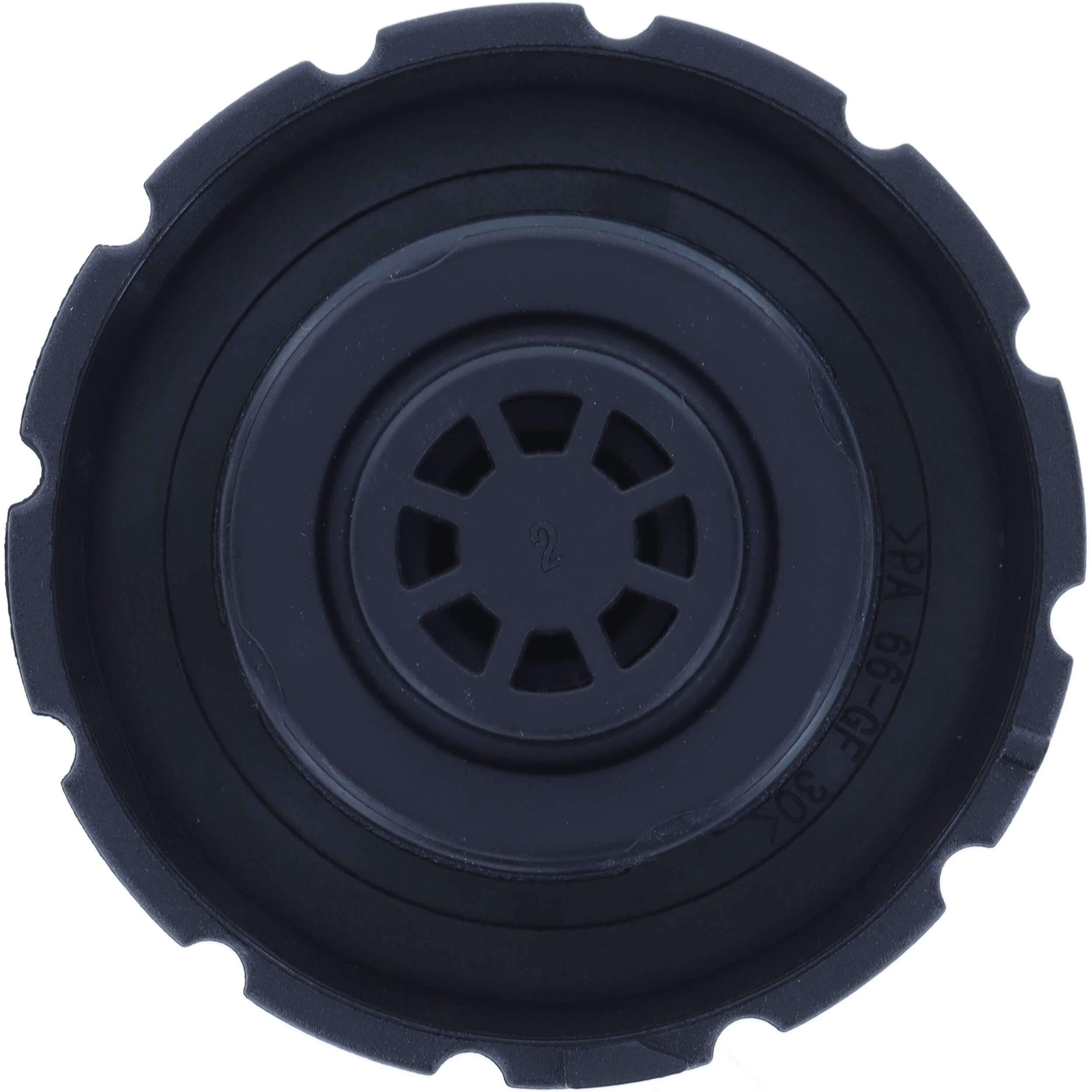 T50_BOTTOM