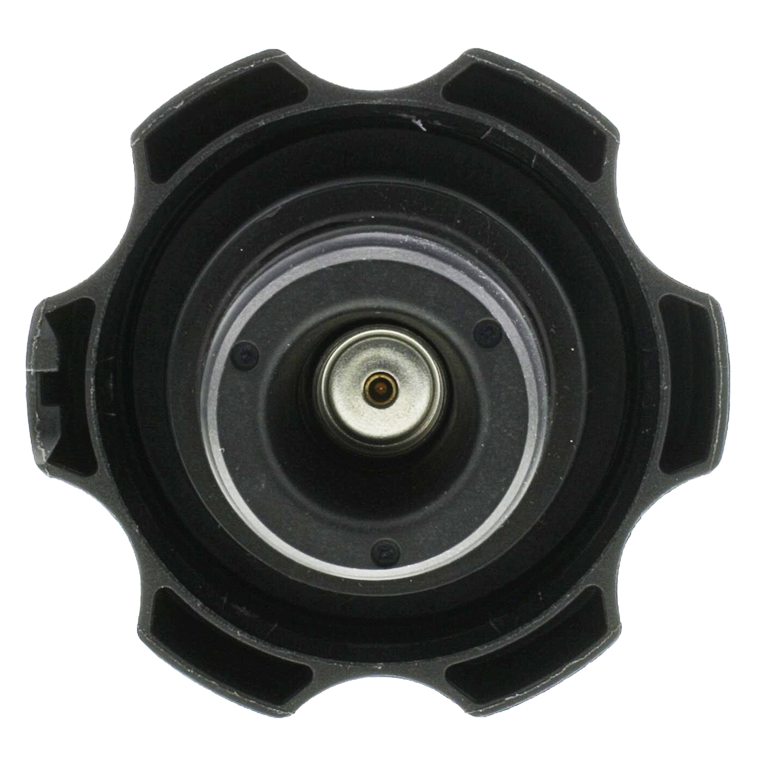 T73_BOTTOM