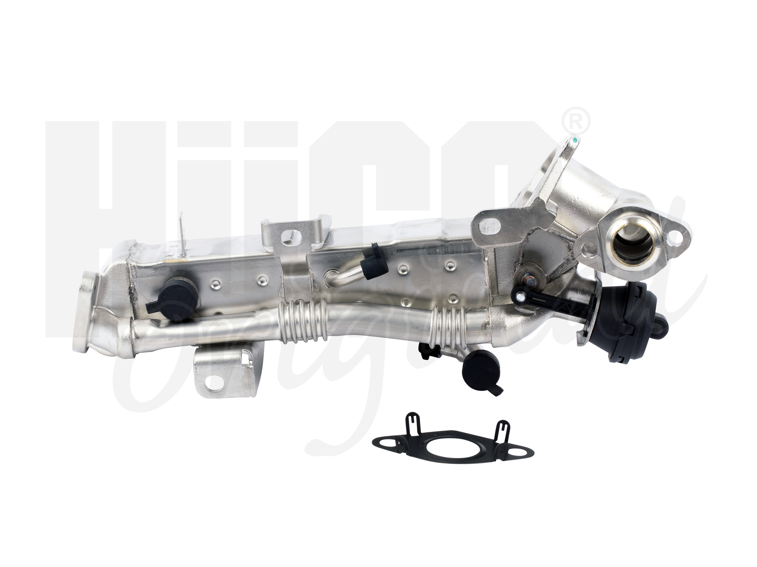 egr_135994
