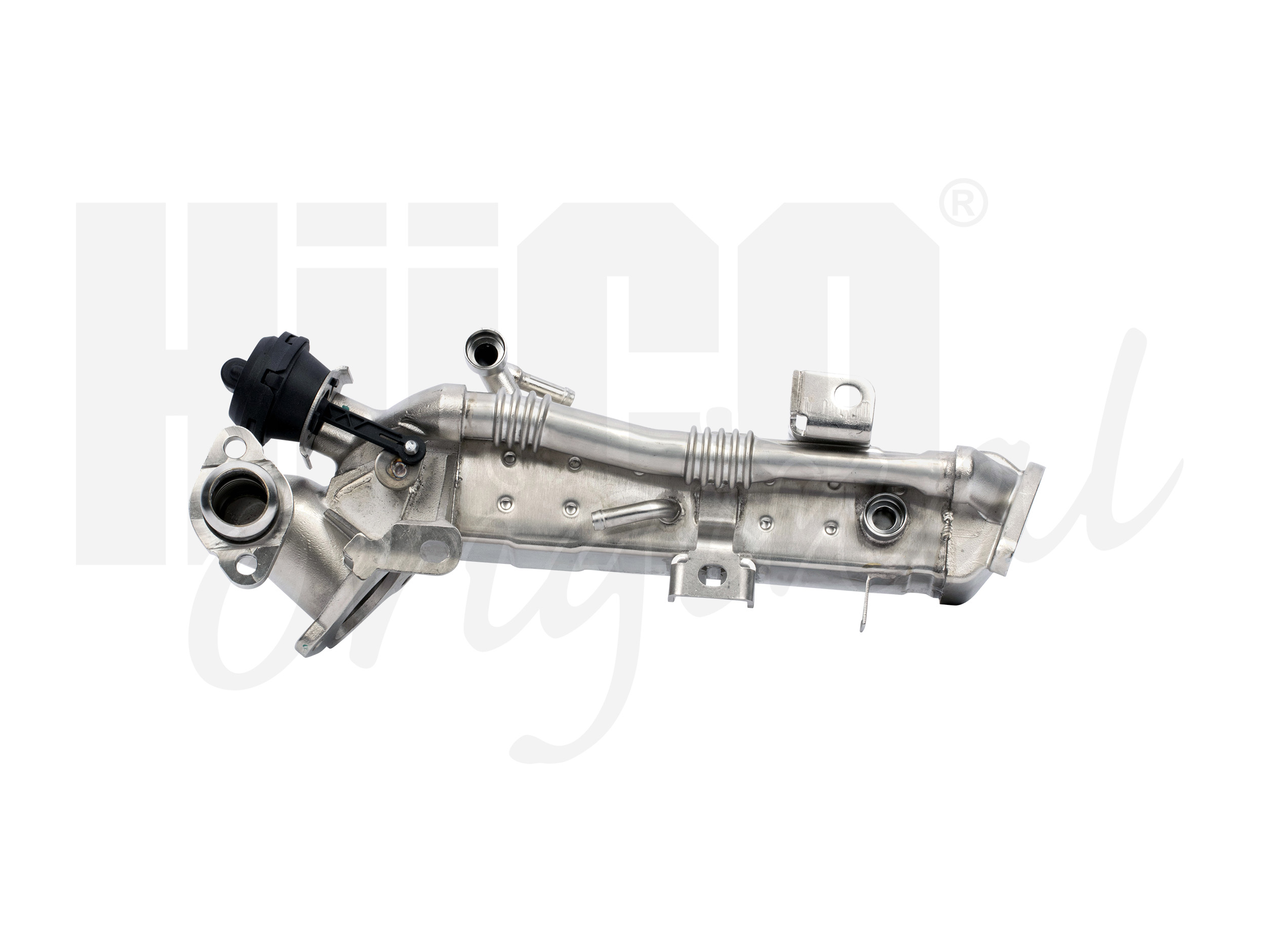egr_135994_2