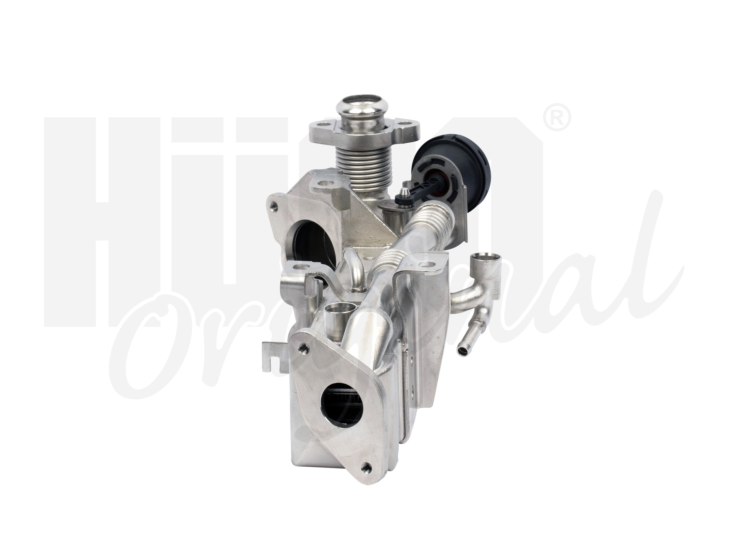 egr_135994_3