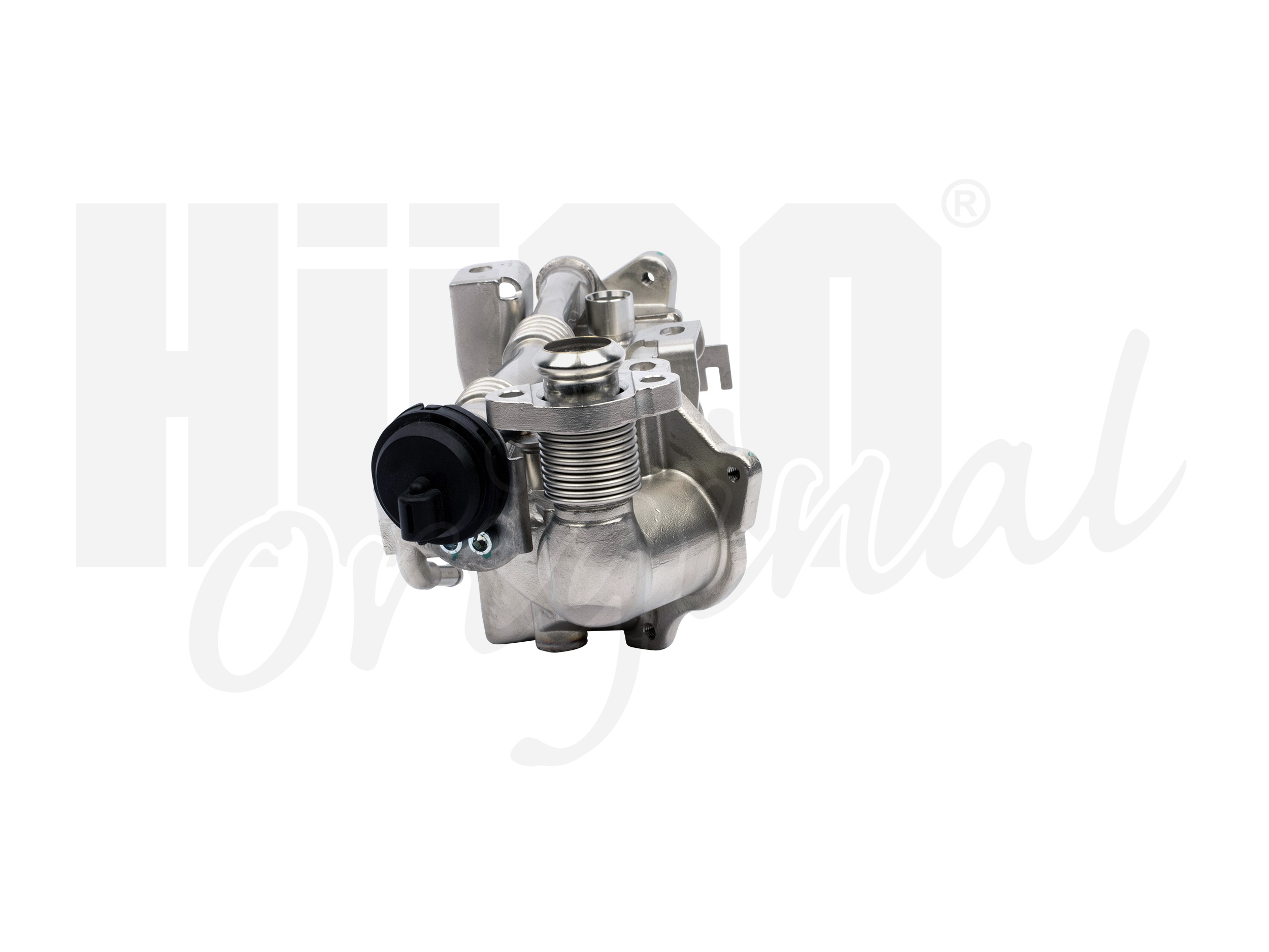 egr_135994_4