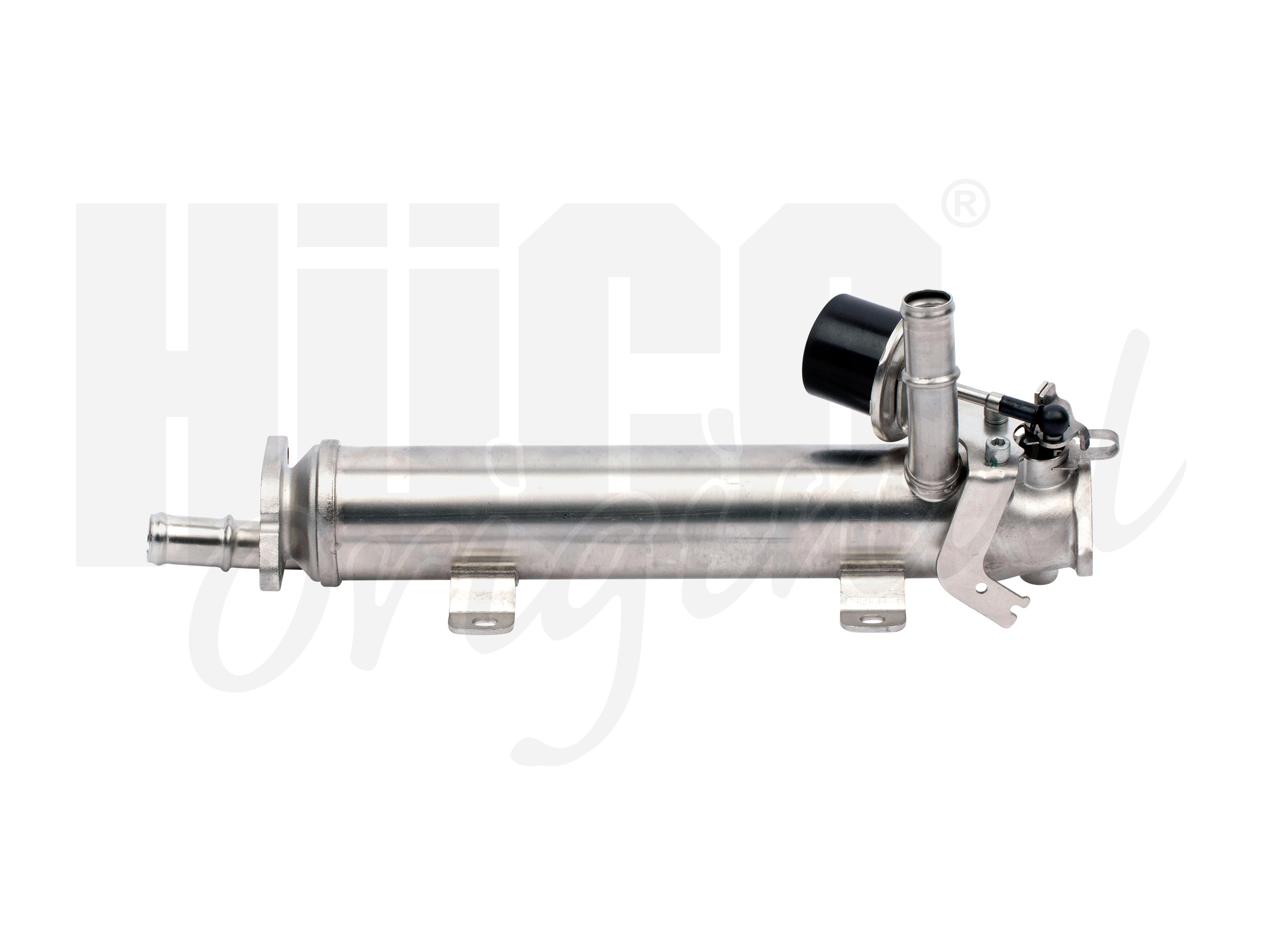 egr_135996_2