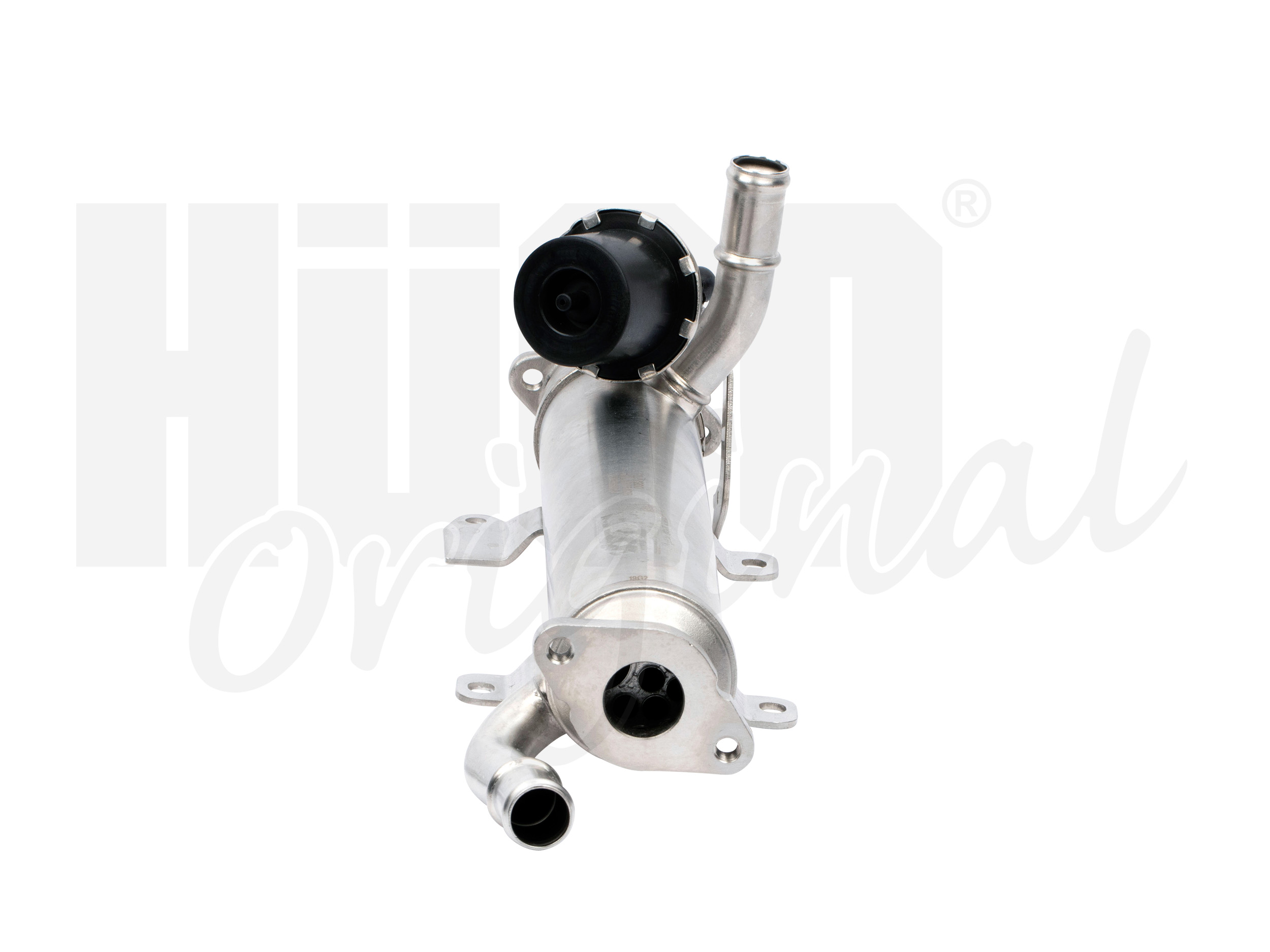 egr_135996_3