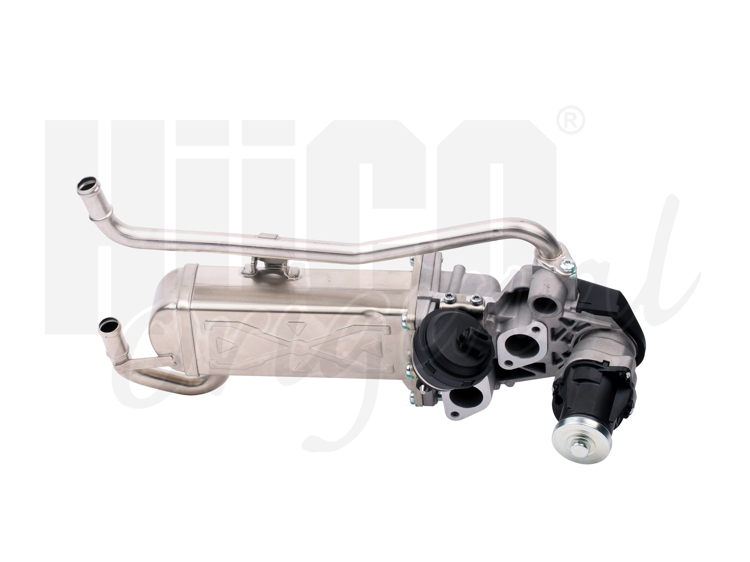 egr_138457_3