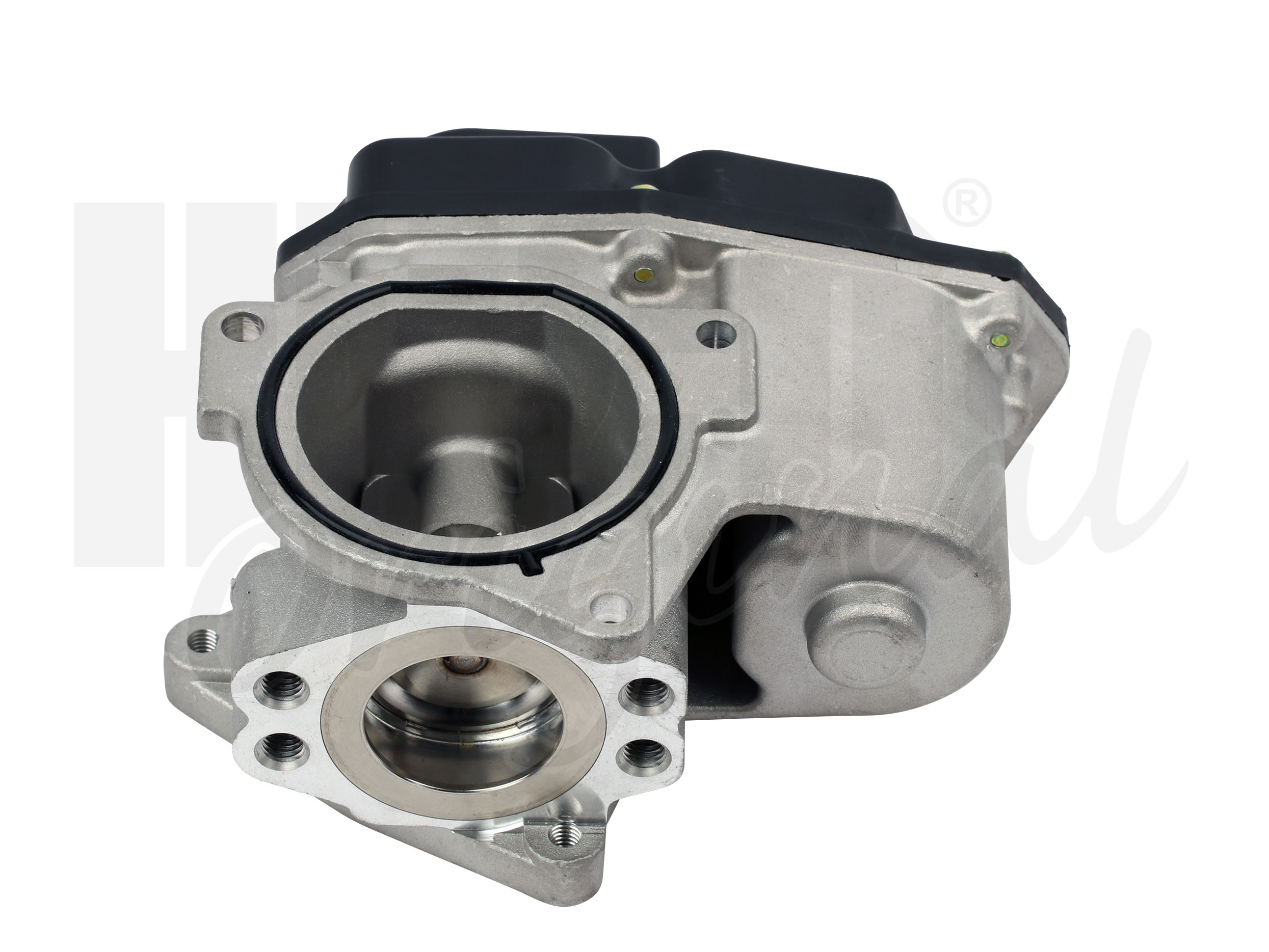 egr_138460_1